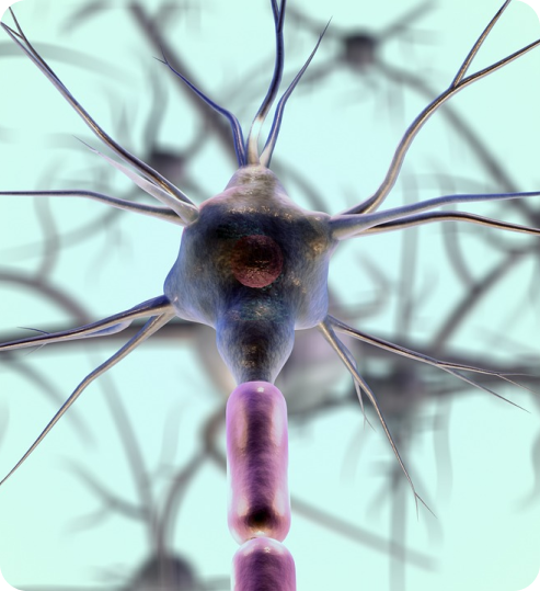 Neurology